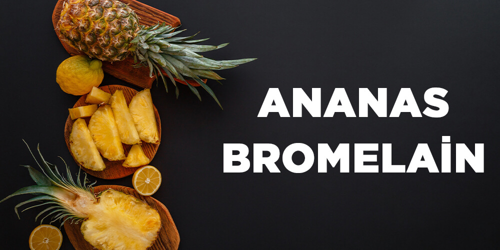 Kanser Savaşcısı Ananas - Bromelain 1 Kanser Savascisi Ananas Bromelain